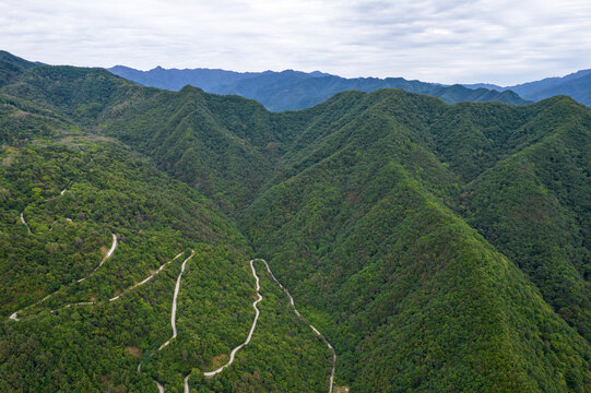 山路弯弯