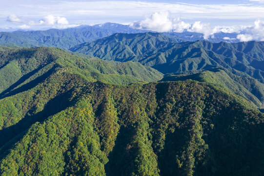 秦岭山