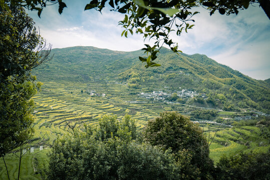 高山梯田