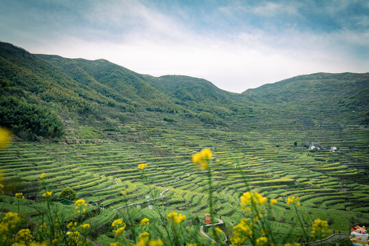 高山梯田