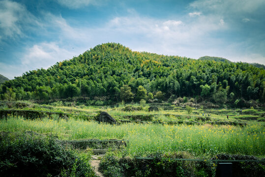 岭南乡