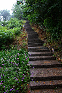 登山小路