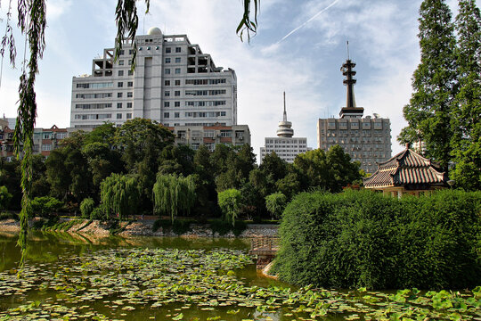 郑州紫荆山公园