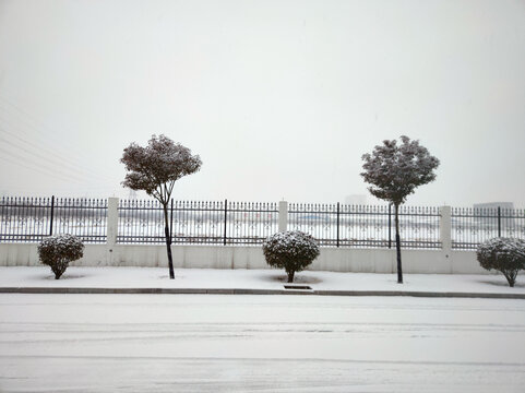 雪后道路