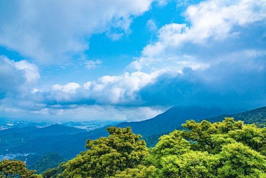 梧桐山万花屏