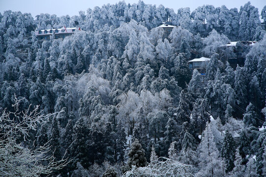 庐山雪景