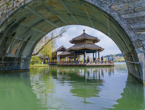 黛色参天亭