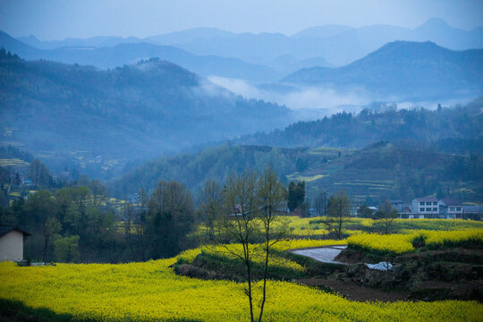 凤堰古梯田