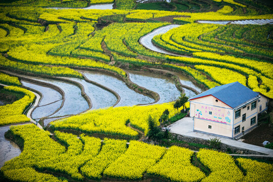 凤堰古梯田