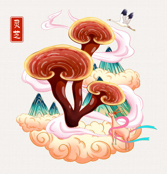 灵芝插画手绘