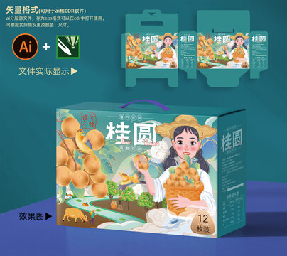 桂圓包裝手繪插畫