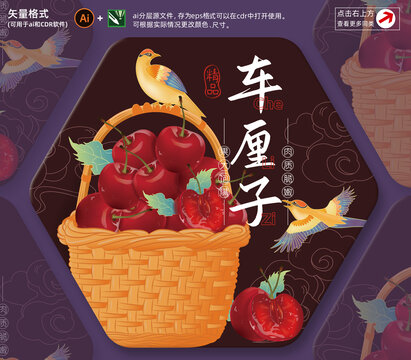 車厘子插畫