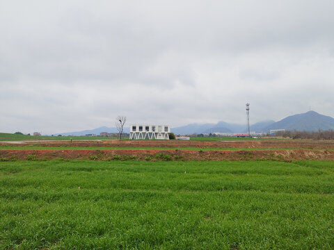 田野远山