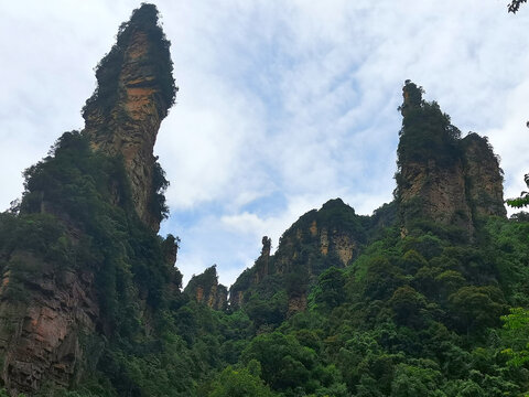 犹自深山采药