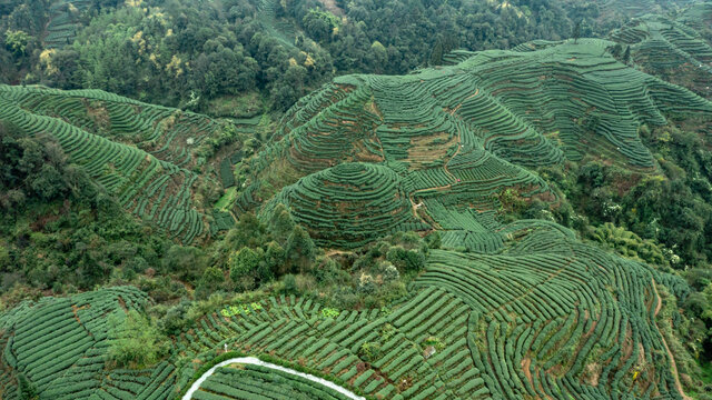 大地指纹