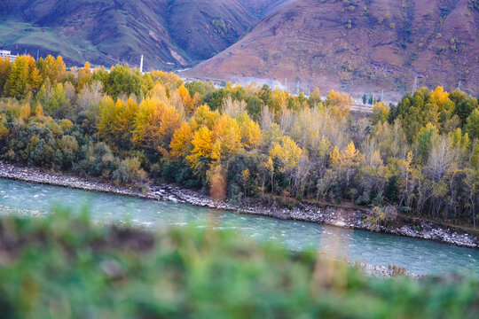 高山河谷