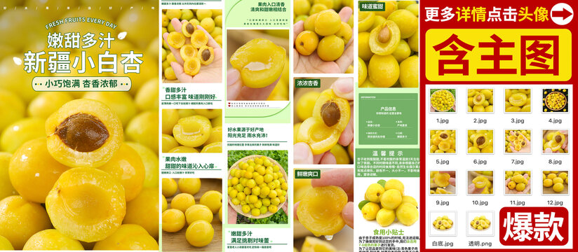 小白杏詳情