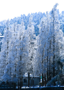 庐山雪景