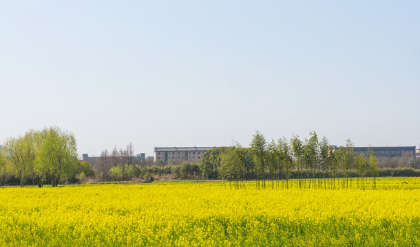 杭州良渚古城遗址公园