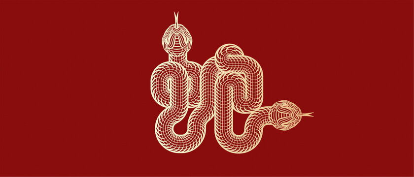 蛇書法字藝術(shù)封面