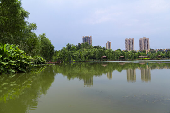 观音塘湿地公园