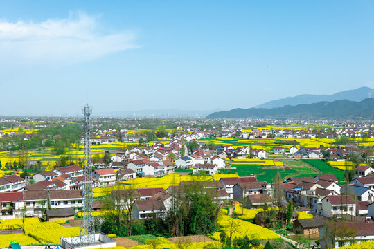 田园风光春天乡村振兴