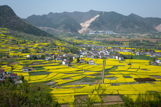 田园风光春天