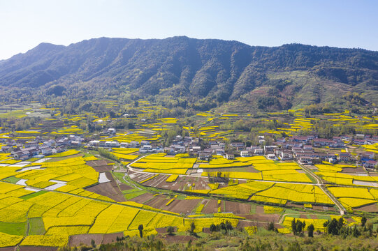 汉中油菜花美丽乡村