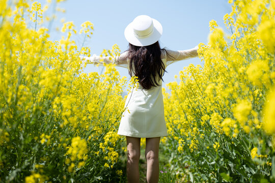 油菜花海中的女孩