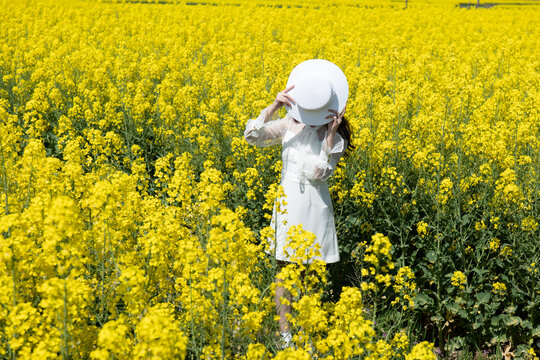 油菜花海中的女孩