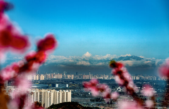 成都龙泉山远眺城市雪山