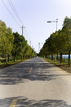 乡间小路