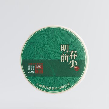 明前春尖普洱茶