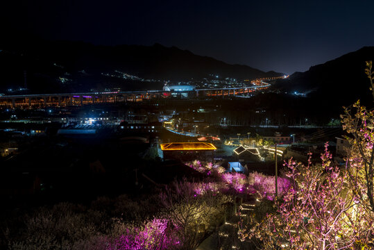 樱桃谷夜景