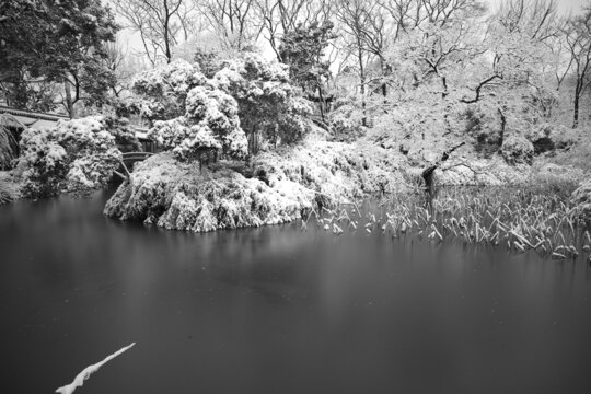 冰雪中的苏州拙政园