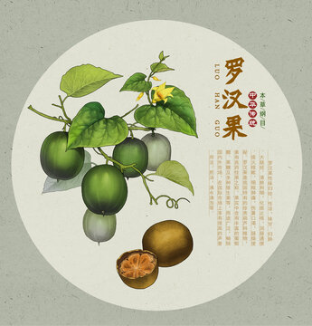 羅漢果