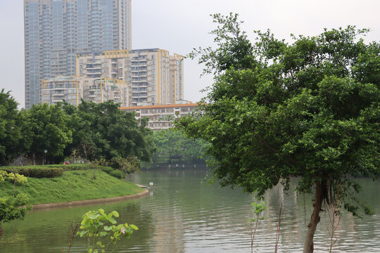 肇庆山水名城风景