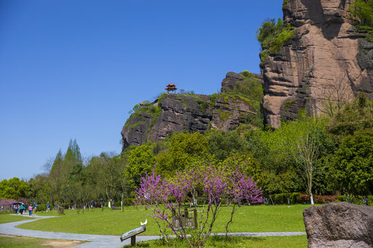 龙虎山桃花洲