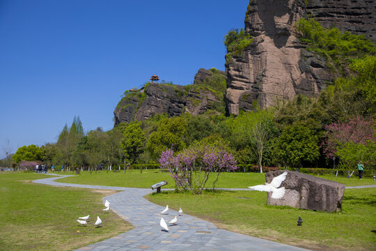 龙虎山桃花洲