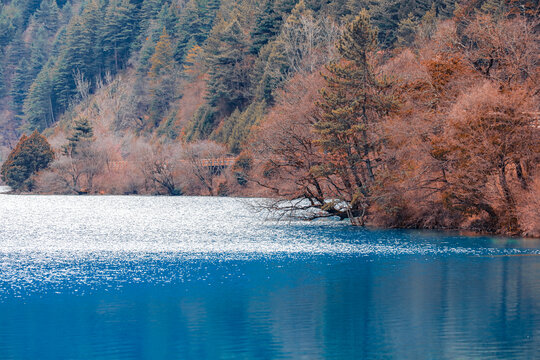 九寨沟的水