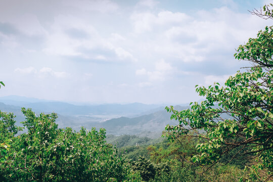 山景