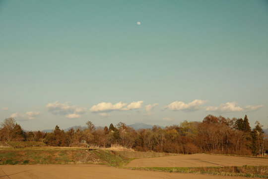 旷野风景