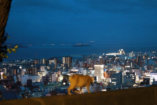 城市夜景俯瞰