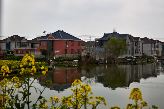 江苏省泰州市兴化市油菜花