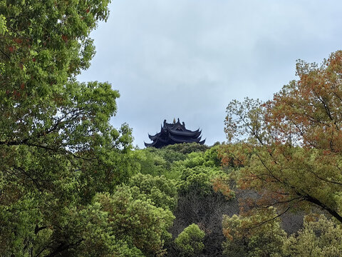 西山公园紫薇阁