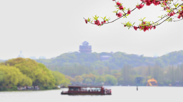 杭州西湖苏堤春晓百花