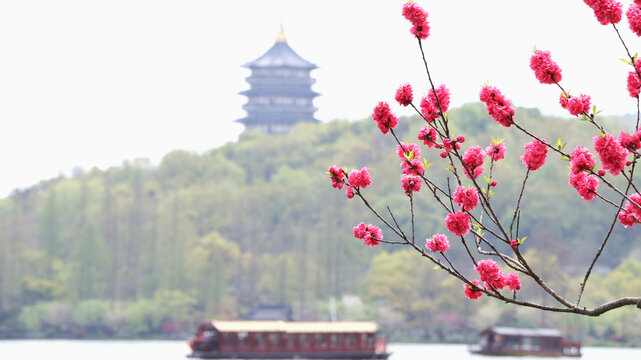 杭州西湖苏堤春晓百花