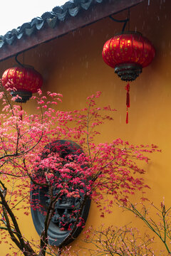 湖州铁佛寺