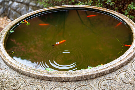 湖州铁佛寺