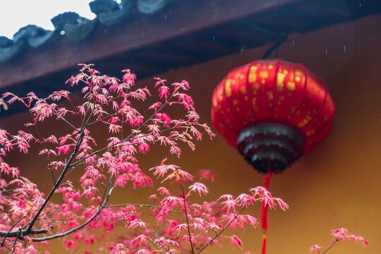 湖州铁佛寺